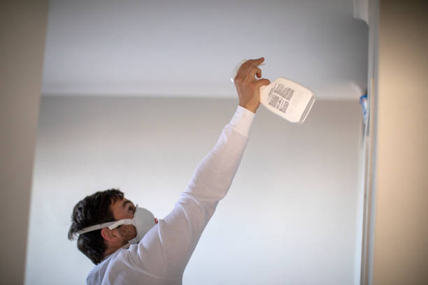 Best Industrial Mold Remediation in Verona, VA